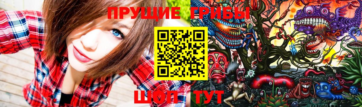 Псилоцибиновые грибы мухоморы  Псилоцибиновые грибы GOLDEN TEACHER  Вход с VPN  купить наркотики сайты  Алушта 