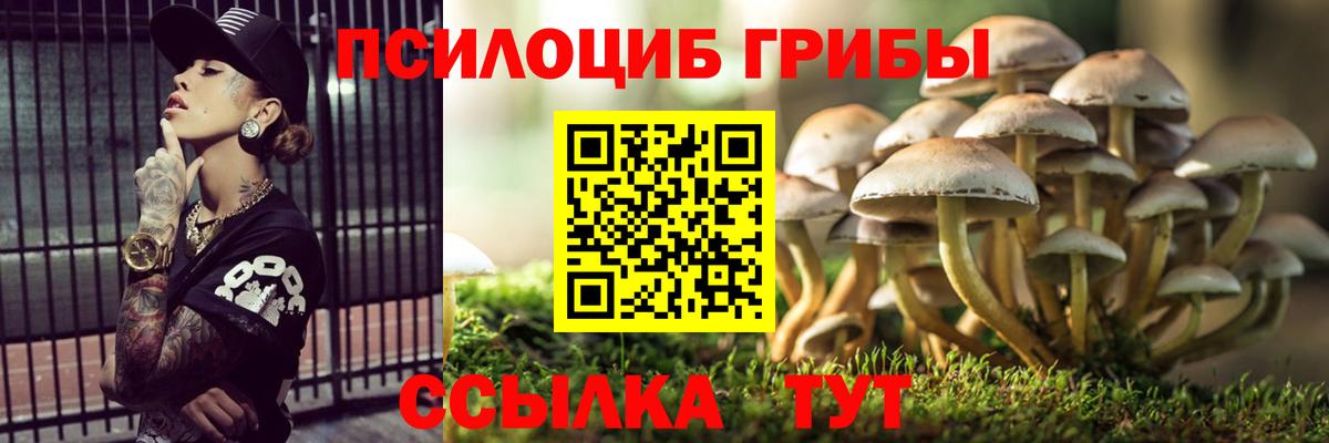 Псилоцибиновые грибы мухоморы Алушта